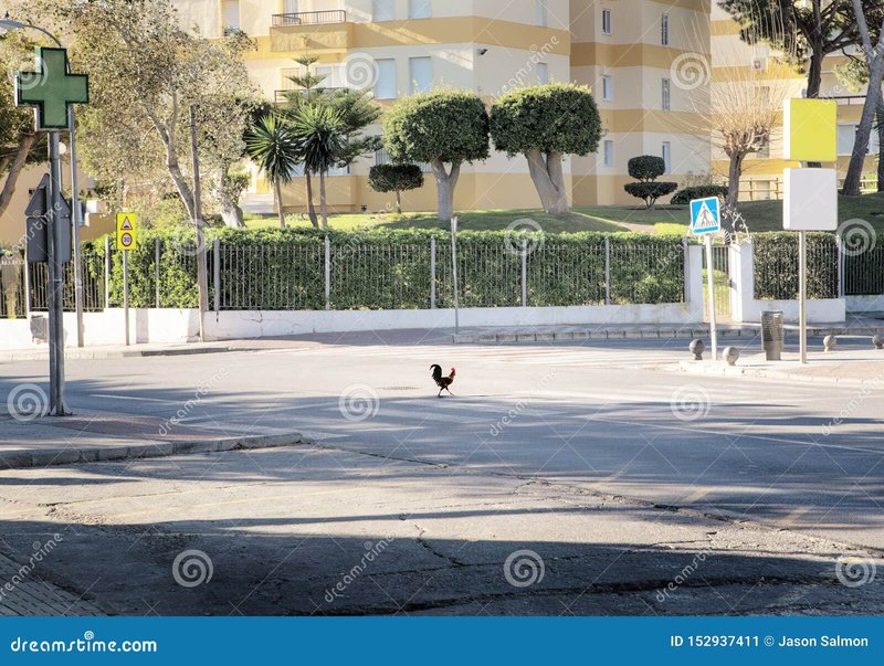 Descubre el Juego de Azar más Adictivo de la Ruta del Pollo en España, chicken road casino